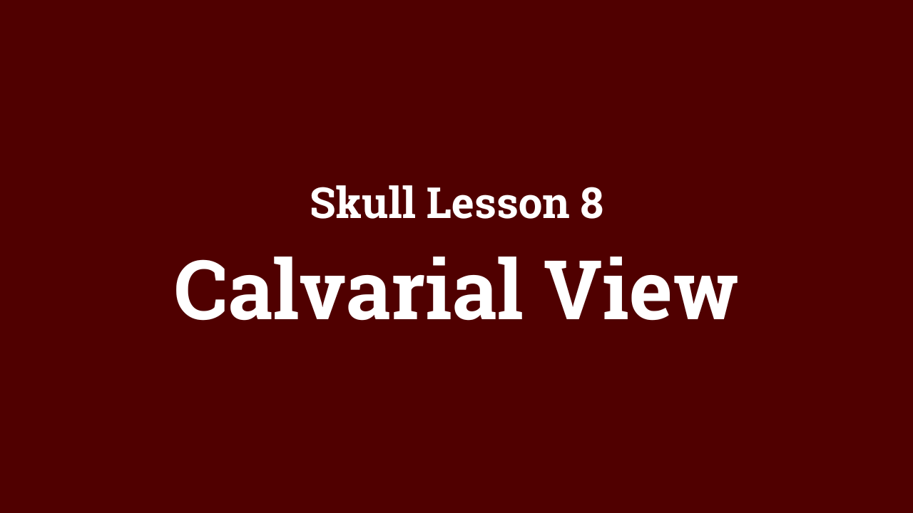 Skull: Calvarial View