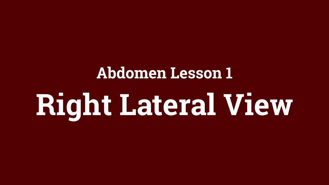 Abdomen: Right Lateral View