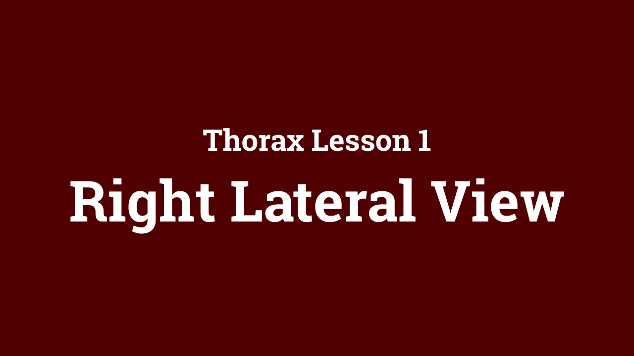 Thorax: Right Lateral View