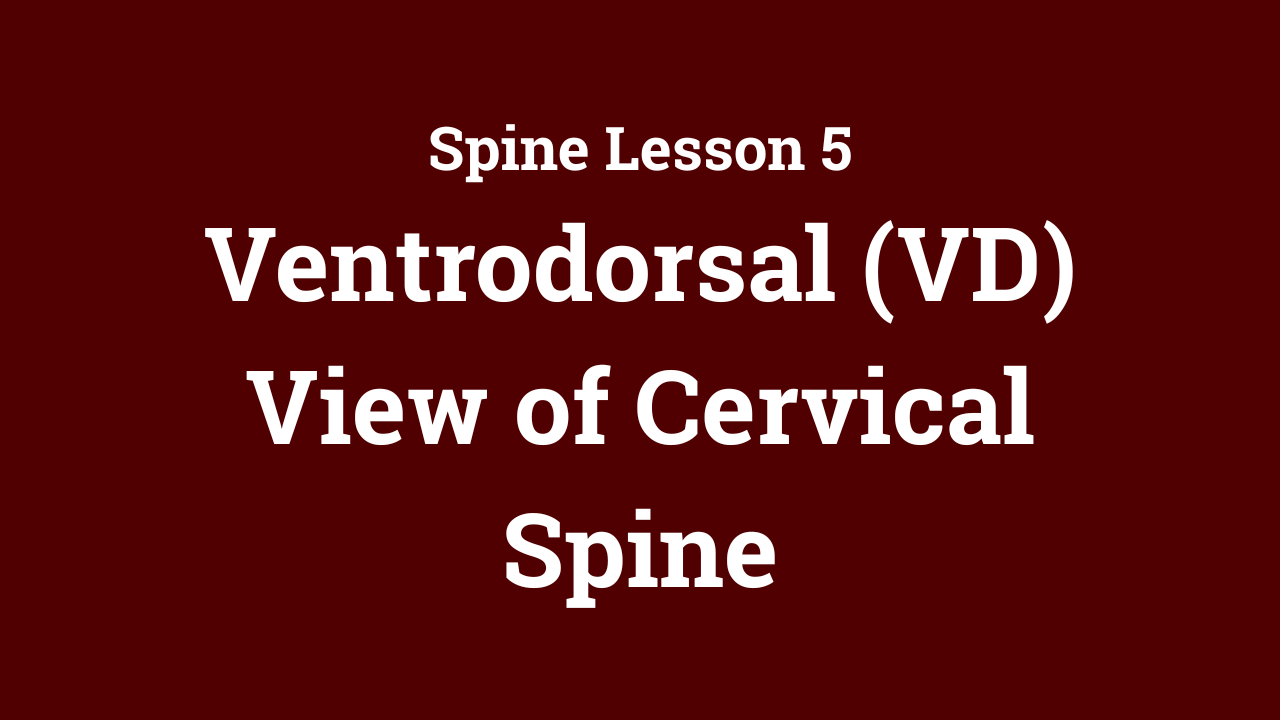 Spine: Ventrodorsal (VD) View of Cervical Spine