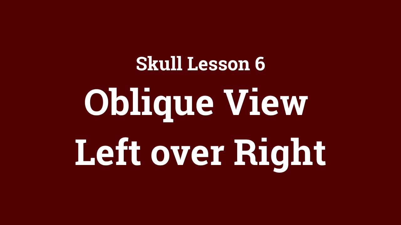 Skull: Oblique View Left over Right