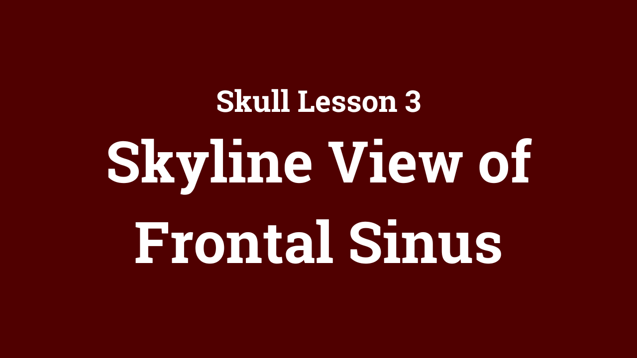 Skull: Skyline View of Frontal Sinus