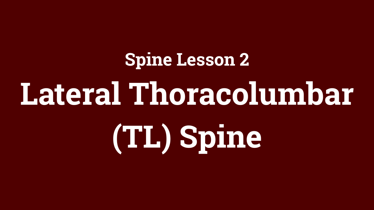 Spine: Lateral Thoracolumbar (TL) Spine