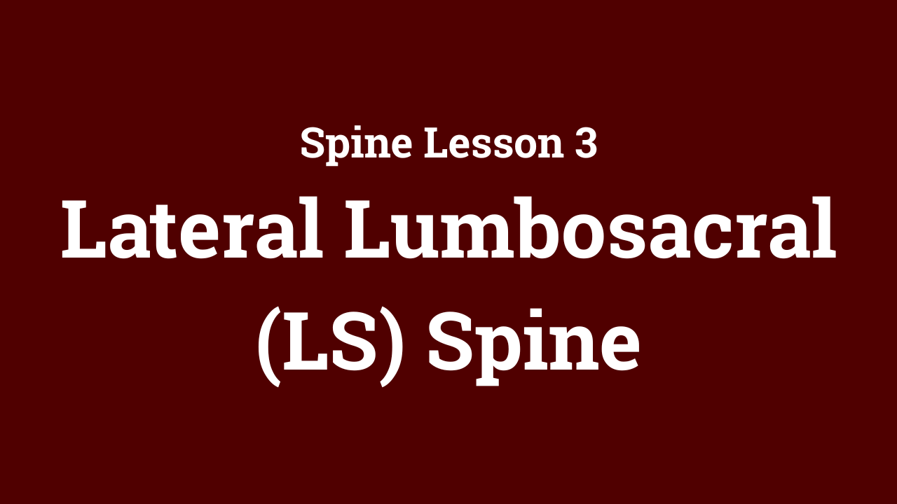 Spine: Lateral Lumbosacral (LS) Spine