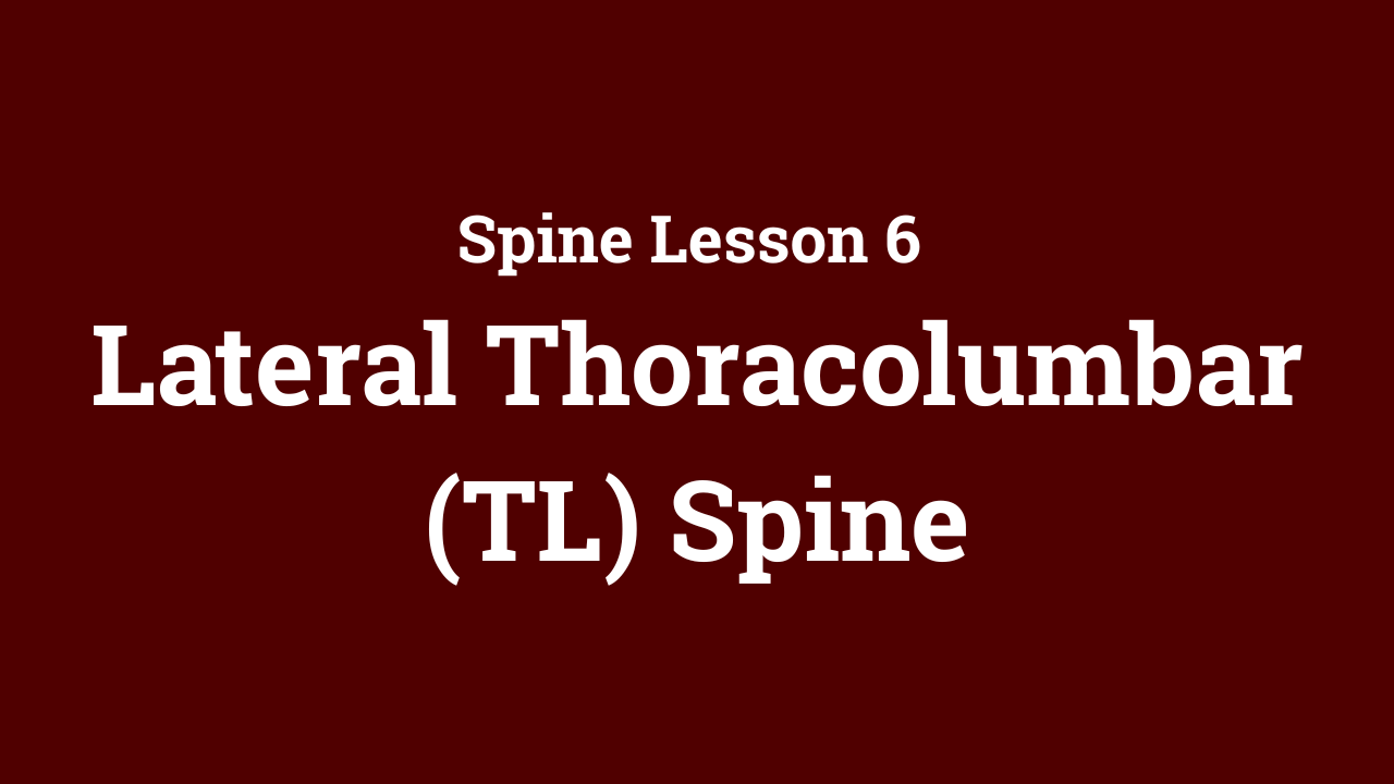 Spine: Spine: Lateral Thoracolumbar (TL) Spine