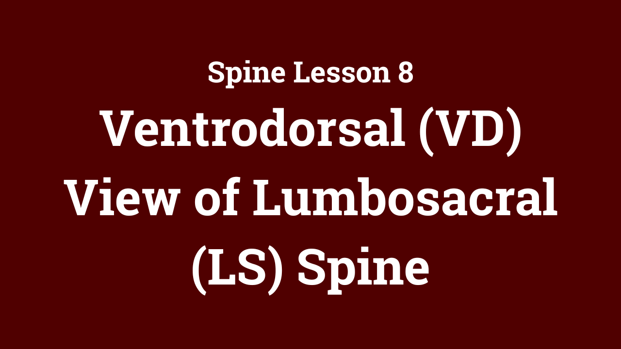 Spine: Ventrodorsal (VD) View of Lumbosacral (LS) Spine